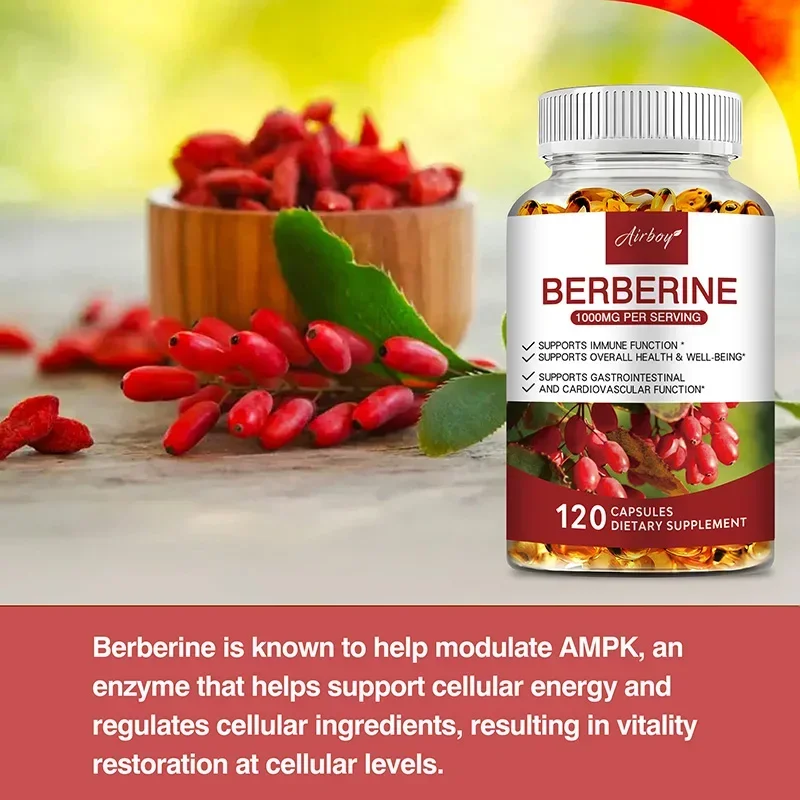 Berberine Capsules - Support O – Health & Wellness Gordon Edlin recenzja i cena
