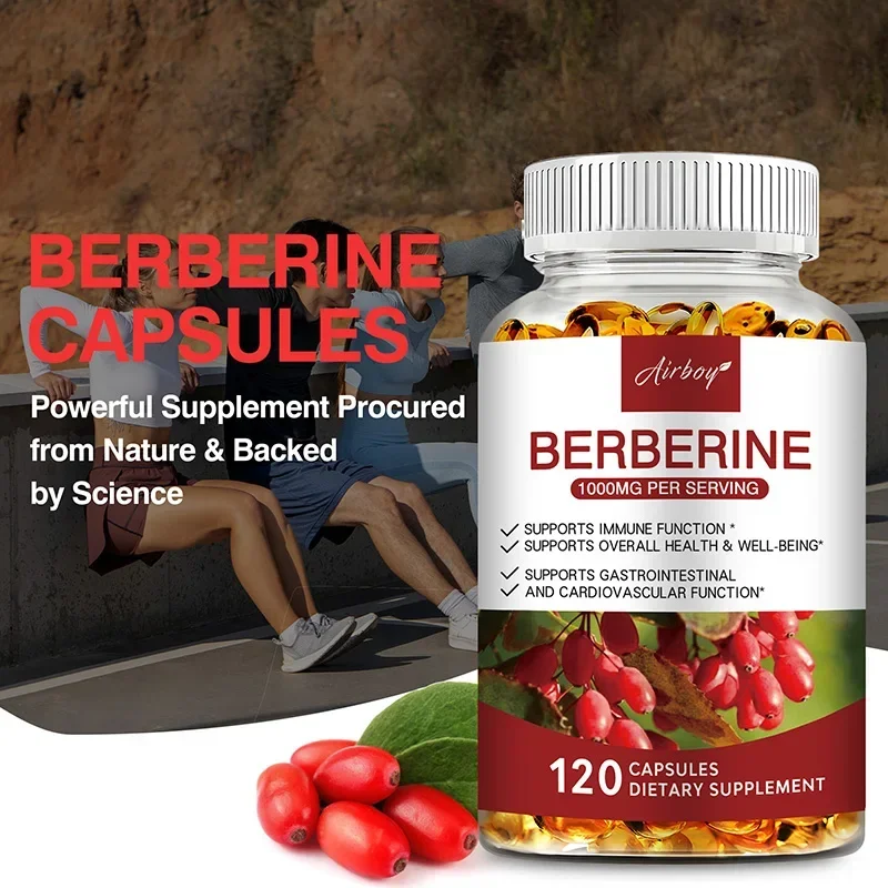 Berberine Capsules - Support O – Health & Wellness Gordon Edlin recenzja i cena