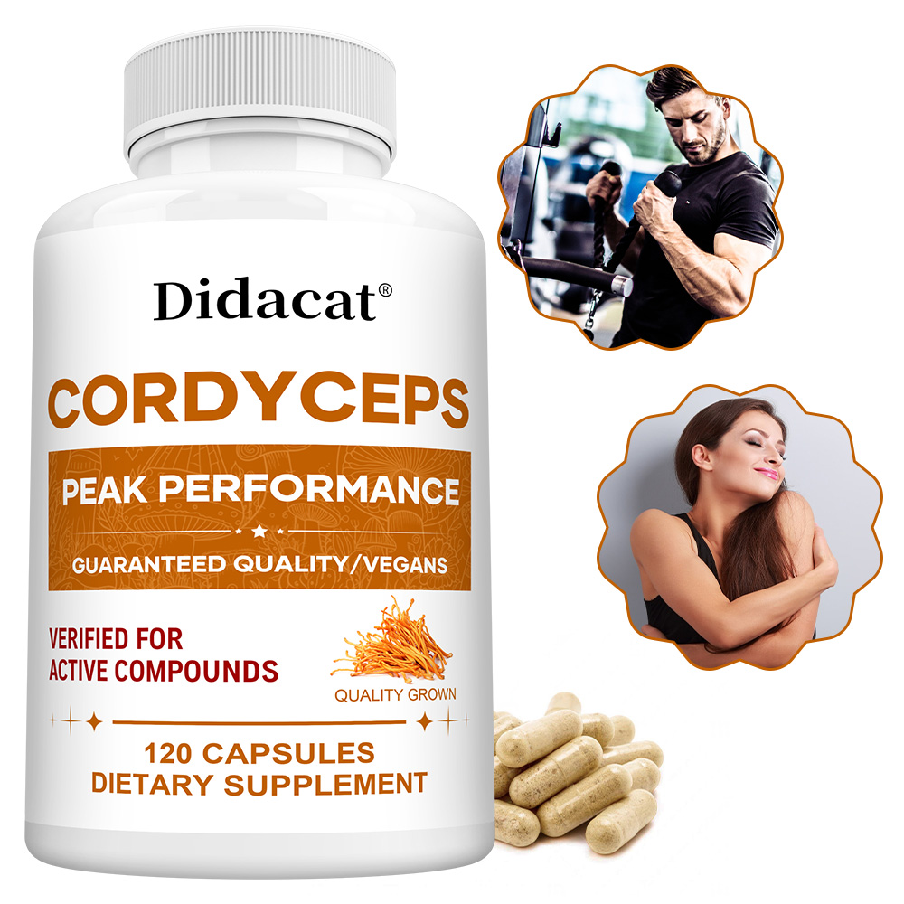 Cordyceps Mushroom Capsules 10 – Health Wellness & Psychology recenzja i cena