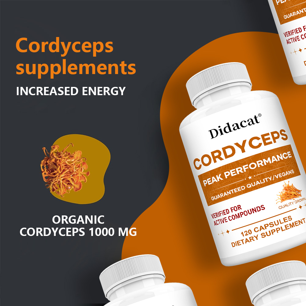 Cordyceps Mushroom Capsules 10 – Health Wellness & Psychology recenzja i cena